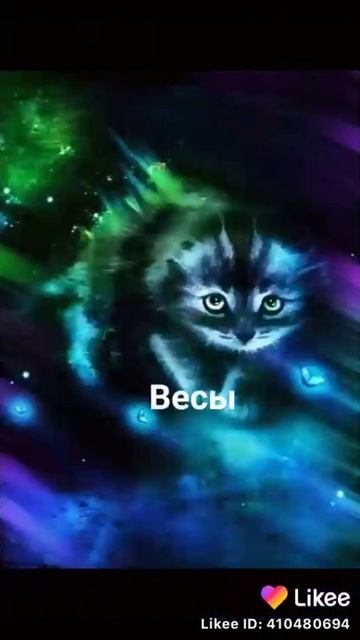 "КОТЫ ПО ГОРОСКОПУ" Likee (я дева😅) смотреть онлайн