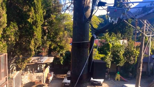 Сверчок Хоста смотреть онлайн