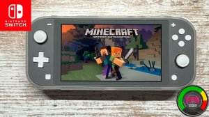 Minecraft Nintendo Switch Lite Gameplay - FPS Monitor