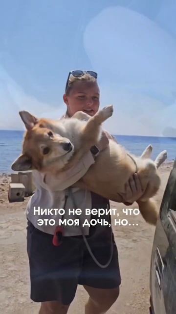 Никто не верит, но… #юмор #квадроберы #дайвинг #фридайвинг смотреть онлайн