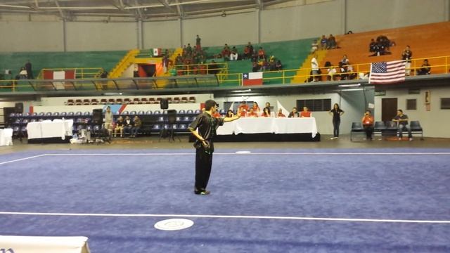 10th PAWC - Adult Optional CQ - Ryan Tang смотреть онлайн