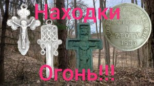 отличный коп в лесу