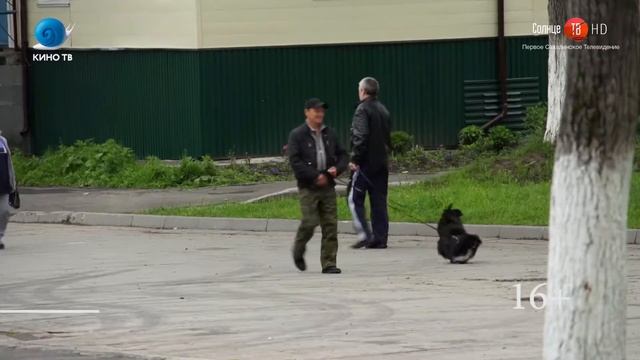 3.10.2019 В Макарове задержали сахалинца, выращивающего мак смотреть онлайн