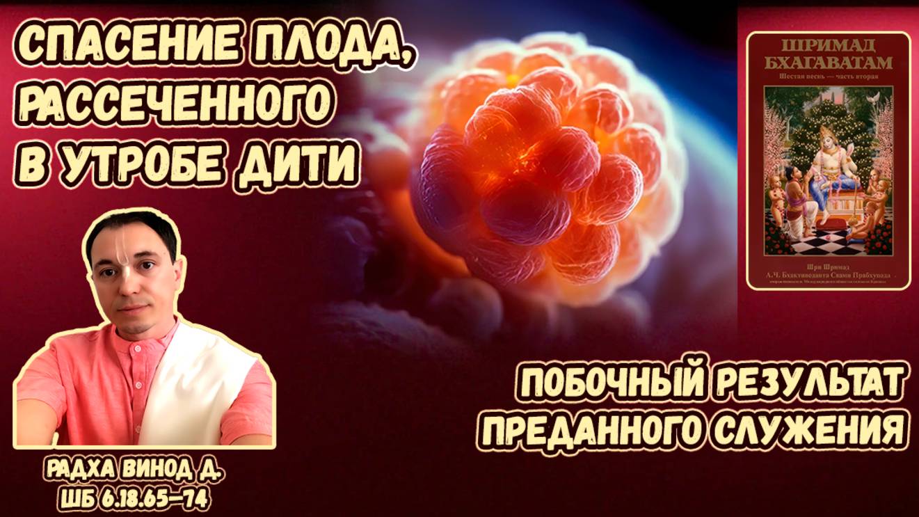 Спасение плода, рассеченного в утробе Дити. Побочный результат преданного служения. Радха Винод д.