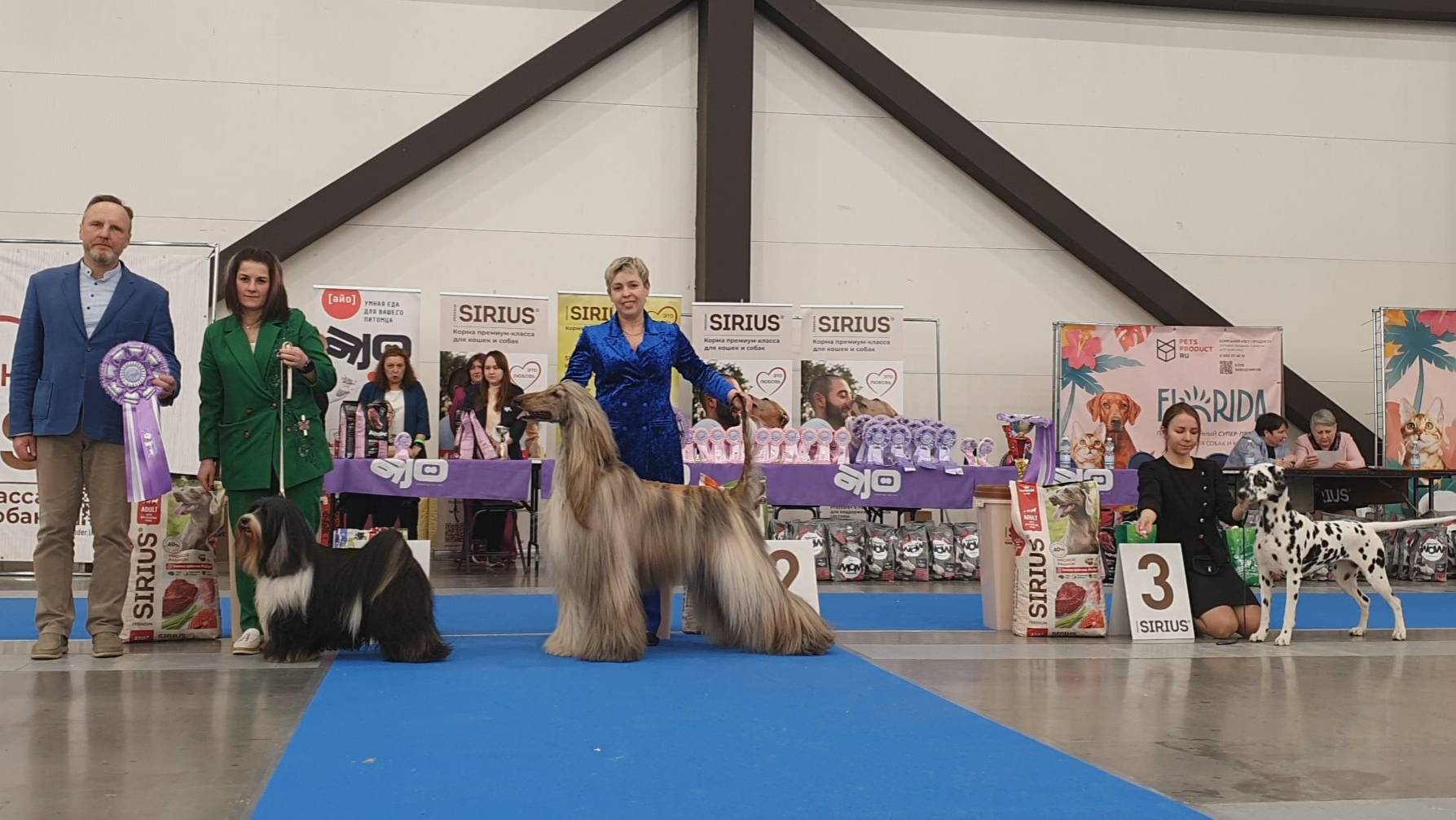 23.03.2025, СПб. Клуб "Сириус-1" (РКФ, РФОС). Выставка собак "ЦАРСКОСЕЛЬСКИЕ ВСТРЕЧИ" (САС, ЧРКФ) смотреть онлайн