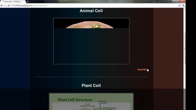 How to download video with IDM in any website for free Full4free.weebly.com смотреть онлайн