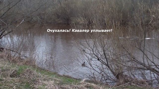 Вторая зорька на реке с Чупой. Весна 2020 смотреть онлайн