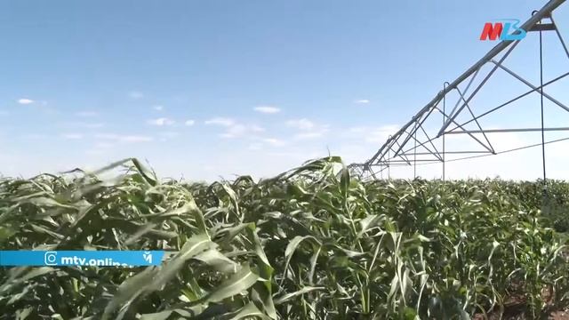 Аграрии Волгоградской области выбирают отечественную технику для орошения смотреть онлайн