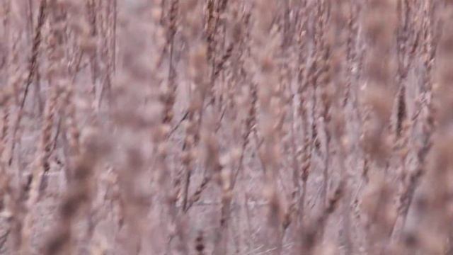 MVI 1249 смотреть онлайн