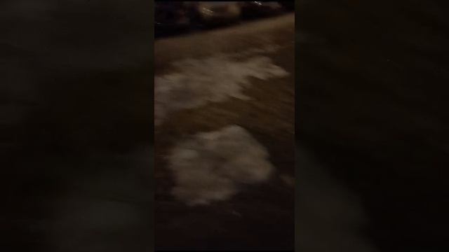 Тибетский терьер смотреть онлайн