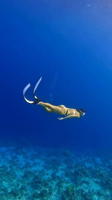 Magic #freediving смотреть онлайн
