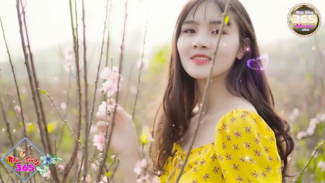 Đẳng Cấp Cha Cha Cha Test Loa Chuẩn Âm 2021 - P03 || Nghe Phê Từ Đầu Đến Cuối || Nhạc Sống 365 смотреть онлайн