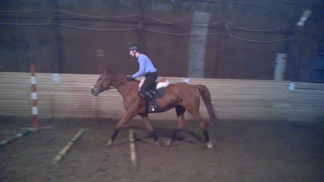 Сергей + Паламед, Карина + Лимон кавалетти смотреть онлайн