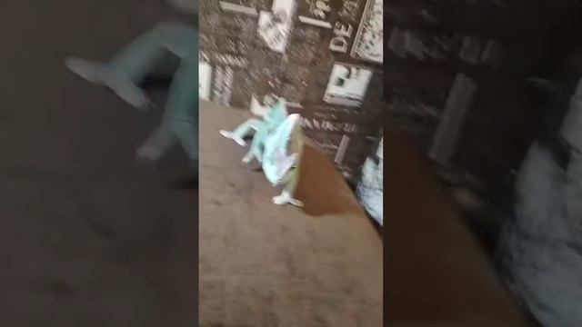 Мой хамелеон Валера ползает на моём диване😁 смотреть онлайн