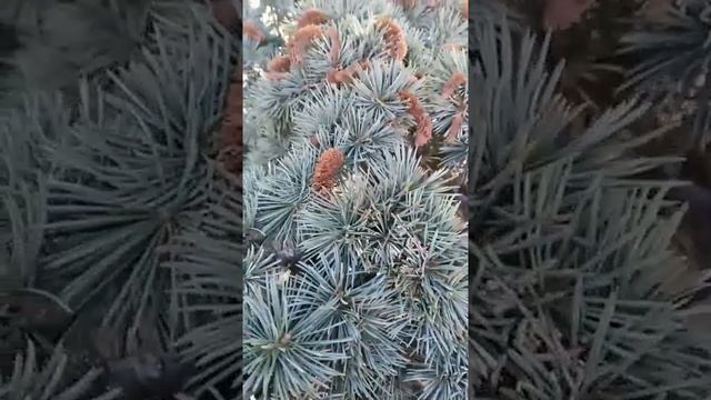 2 марта 2021 смотреть онлайн