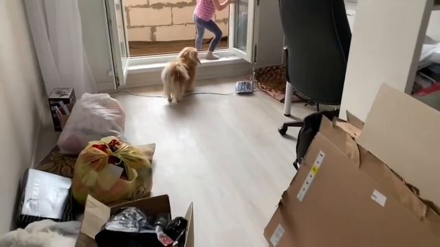 Сложная и интересная уборка😃Убирайся вместе со мной//ТОТАЛЬНОЕ РАСХЛАМЛЕНИЕ И ОРГАНИЗАЦИЯ ХРАНЕНИЯ смотреть онлайн