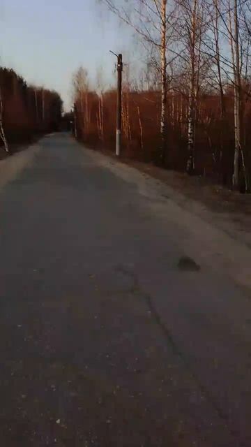 Гуляем с Риччи 🐕 смотреть онлайн