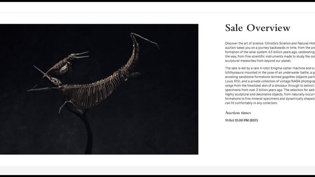 Fossil auctions смотреть онлайн