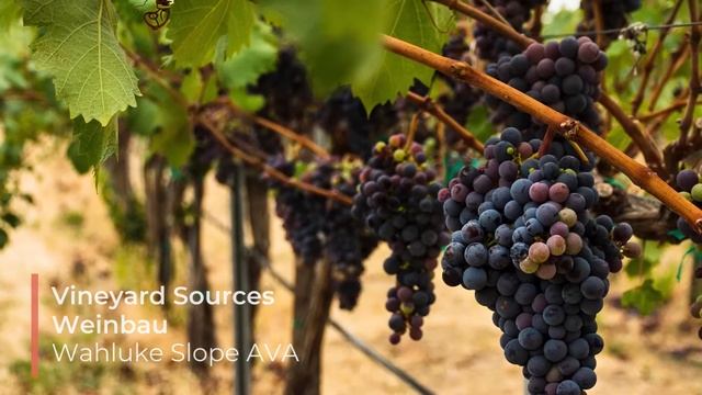 2016 Cuillin Hills Cabernet Franc смотреть онлайн