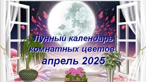 Лунный календарь комнатных растений и цветов на апрель 2025 года смотреть онлайн