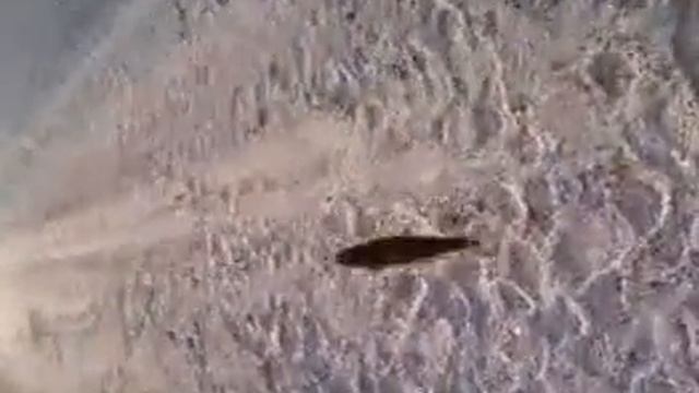 рыбалка в карелии смотреть онлайн