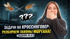 Задание 28 биология ЕГЭ | Задачи на кроссинговер: ТЕОРИЯ и ПРАКТИКА | Умскул