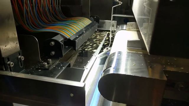 Сортировка Сушеного Лука / Dried Onion Sorting смотреть онлайн