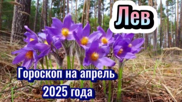 ЛЕВ! Гороскоп на апрель 2025 года! смотреть онлайн