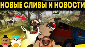 НОВЫЕ СЛИВЫ И НОВОСТИ КОТОРЫЕ ЗНАЕМ ТОЛЬКО МЫ ПО 5 НОЧЕЙ С БОБР КУРВА (или нет)