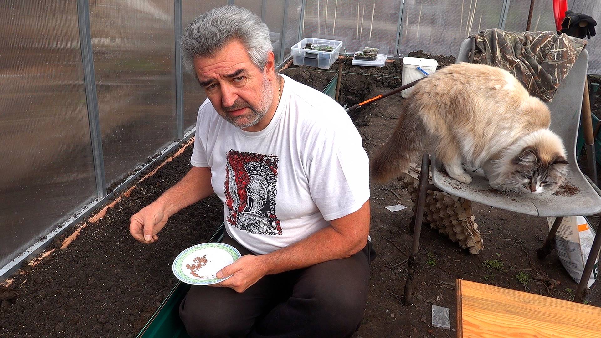 Посадка редиски в лотки для яиц / Посадил салаты / Вкусный обед смотреть онлайн