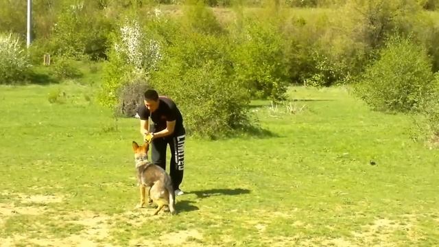 Rea Silvia - obedience - 7 monts смотреть онлайн