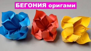 Цветок Бегонии оригами из бумаги. Оригами Цветы из бумаги. Бумажные поделки DIY