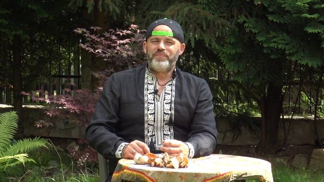 Olej rydzowy! lepszy rydz niż nic ! Skąd te powiedzenie !? смотреть онлайн