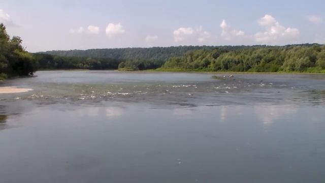 Дністер між Устям і Горошовою