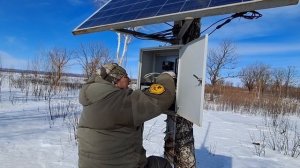 Подключение веб-камеры на гнезде дальневосточного аиста. 2025 г.