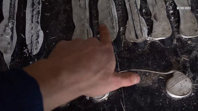 Ausbau 2.0 - VW T5 4Motion | Lino