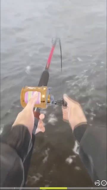 Поимка палтуса за 4 минуты #рр4 #рыбалка #russianfishing4 #russianfishing #палтус #атлантический смотреть онлайн