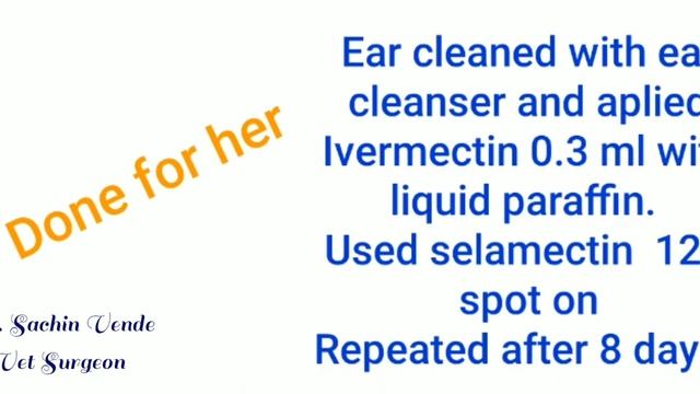 How to treat ear mites in cat. смотреть онлайн