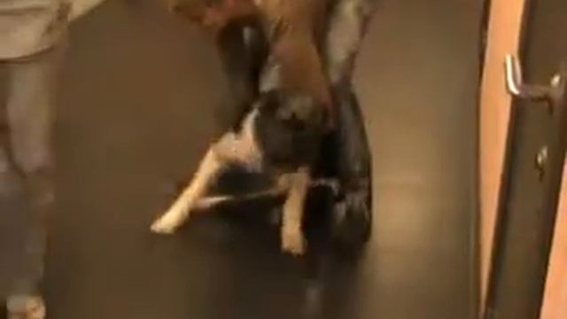 Энжи. Выписка из клиники Рувет. 19.08.14. 1 часть смотреть онлайн
