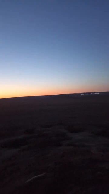 Охота на гуся )) смотреть онлайн