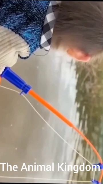 #Funny Monkey Videos Try Not To Laugh 🙈🙉🙊#51#shorts смотреть онлайн