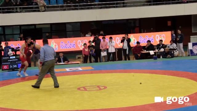 Mongolian Wrestling Championships 2016