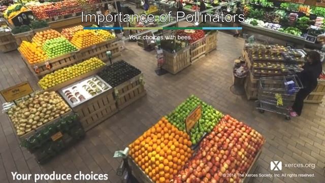 Module 1: PNW Bumble Bee Atlas - Introduction смотреть онлайн