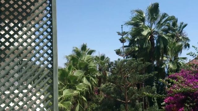 Ausblick Balkon Hotel Defne Dream Türkei Colakli смотреть онлайн