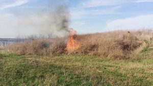 Работа по хозяйству: старый друг приехал, мы укрепили грабли и сожгли сухую траву.