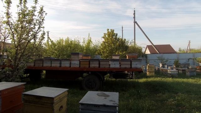 У нас минус 600 нужно подкармливать срочно? смотреть онлайн