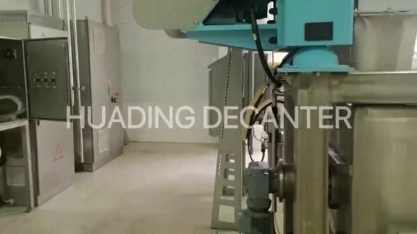 Plant protein beverage processing