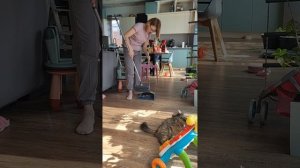 строим дом,посадили малину, сеем семена овощей, сделали огород