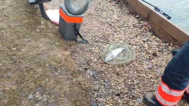 WhatsApp Video 2025-03-25 at 10.12.44 смотреть онлайн