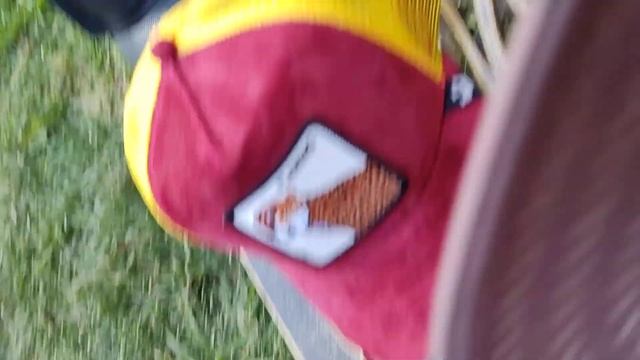 Diferencias entre Goorin Bros!!!!!🐊🦎🐆🦫.... смотреть онлайн